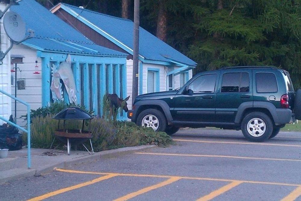 Little River Motel Saint Regis St. Regis Exterior foto